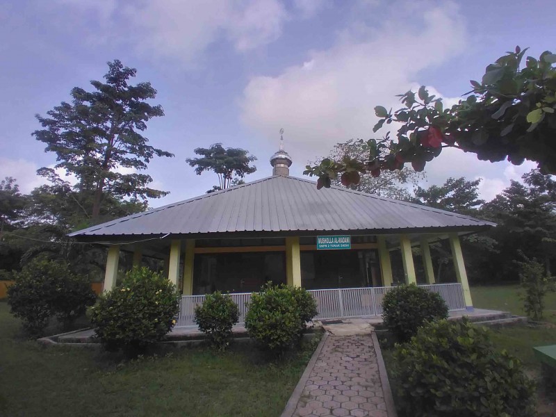 Gallery d6807fd8bd81bc88acaa9326fcb1ddcb.jpg